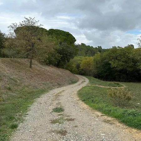 Proche Et Foret Appartamento