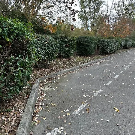 Proche Et Foret * Carcassonne