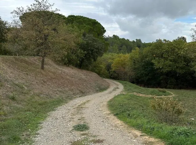 Proche Et Foret דירה