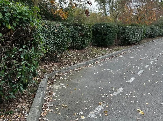 Proche Et Foret * קרקסון